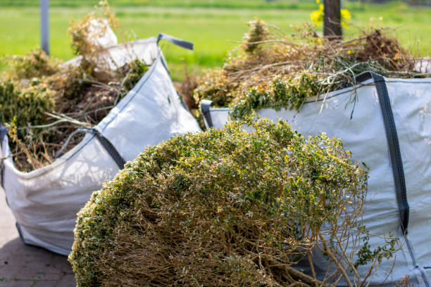 Best Appliance Removal Near Me  in Southside Place, TX